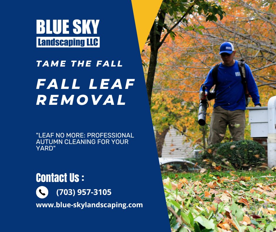 Collecting leaves regularly during the fall will ensure a clean, healthy-looking lawn. But even with a few trees in your lawn, routine leaf removal can be a tiresome, dreadful chore. 
Hire our Team! So you can focus on important work, or pursue your leisure activities.
#lawncare