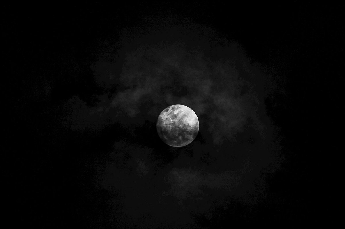 <a href="/Luna_night98/">Luna🌙</a> <a href="/rai_nef/">Fotoğrafçınız 📸</a> <a href="/Taher_MAT1987/">Taher🌴</a> Tyvm Luna &amp; Rai 🖤🤍 #WorldPhotographyDay

objkt.com/profile/ana-kr…

I invite : <a href="/EdmundBoissier/">Boissier</a> <a href="/Nature7b/">Nature</a> <a href="/PhotoCoolNfT/">SN🅰PSHOT🇨🇵🇩🇿</a>