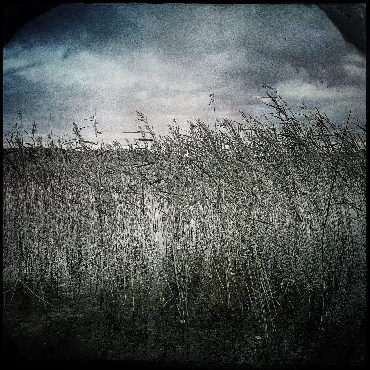 Anne (@annekinnunen1) on Twitter photo 