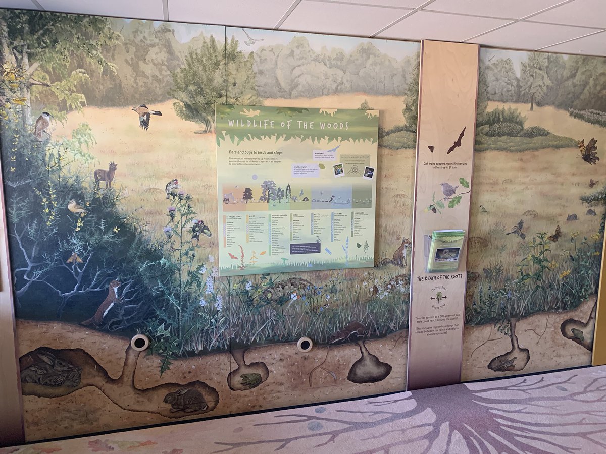 Philip Corthorne tweet media