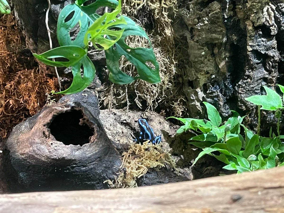 It's the weekend! The Vancouver Aquarium is worth a visit!