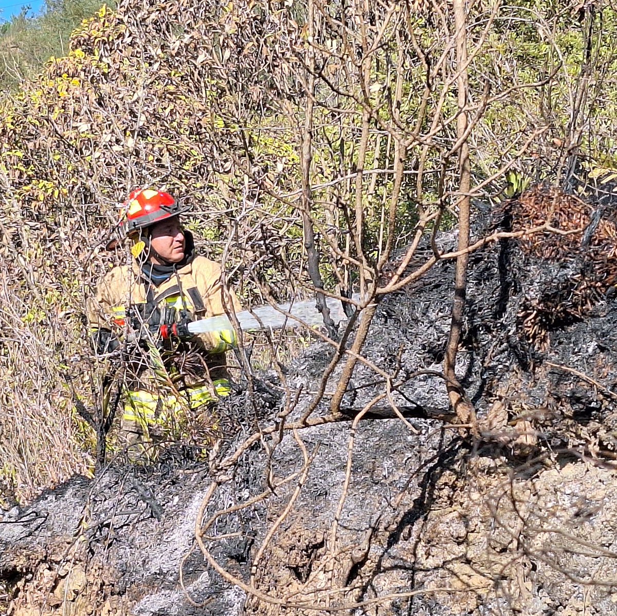 #MantenteInformado #IncendiosForestal 🔥
Esta mañana nuevamente acudimos al sector de Rayoloma a liquidar una quema en el lugar del incendio forestal.

✔️El 99% de los incendios son provocados.  
✔️Denuncia si observas a alguien prendiendo fuego. 

Reporta #BomberosCuenca