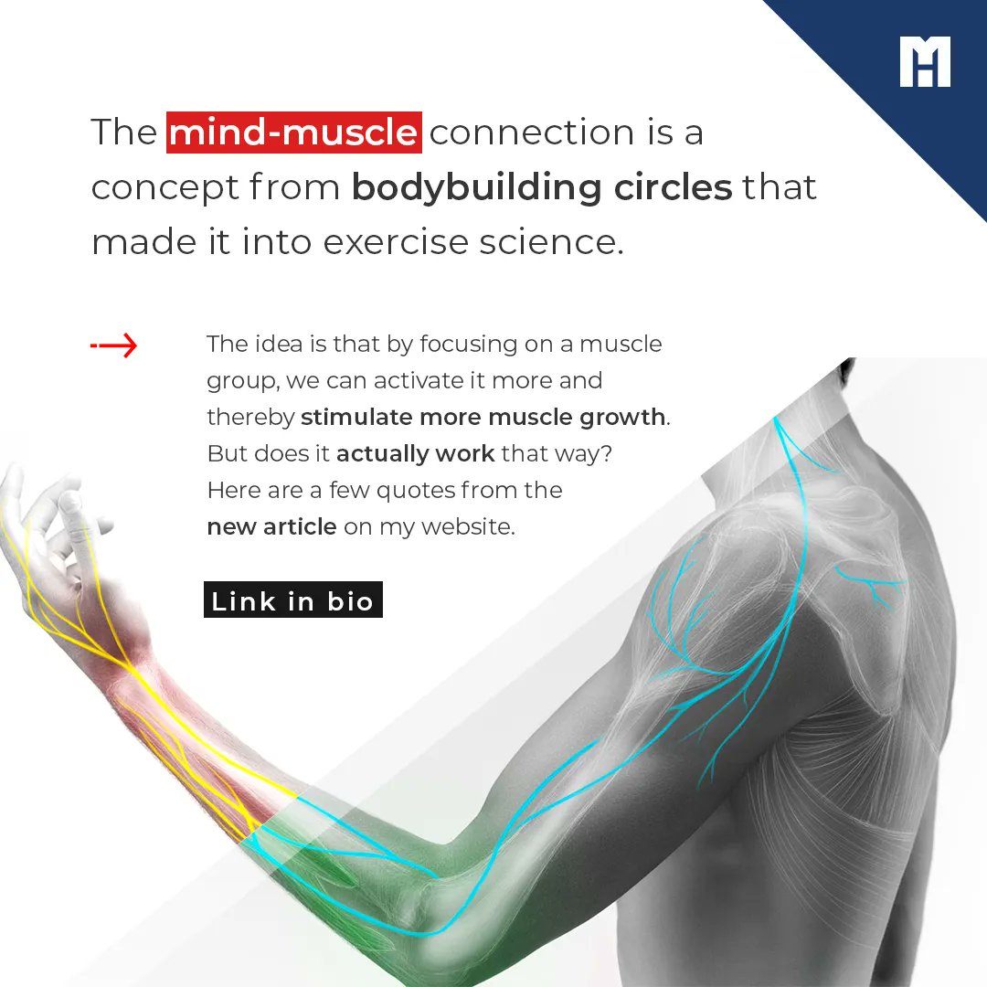MennoHenselmans's tweet image. Is the mind-muscle connection broscience? New article: mennohenselmans.com/mind-muscle-co…
#programdesign #mindmuscle #mennohenselmans #personaltrainer #personaltrainers #personaltraining #personaltrainerlife #personaltraineronline #personaltraineronline
