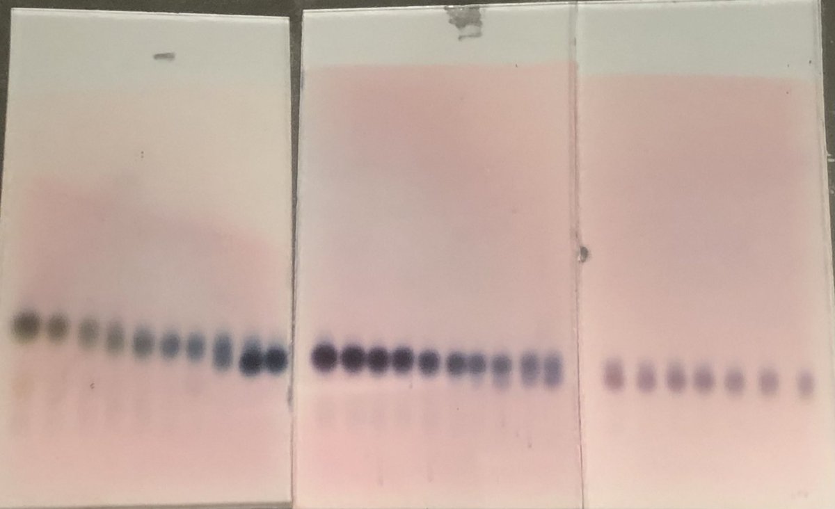 amilosav996's tweet photo. Saturday columns be like #realtimechem https://t.co/qJpRWYxLmw