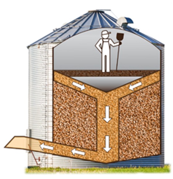 #DYK: Grain in motion is extremely dangerous because it acts like quicksand and pulls a person down. Once trapped, it’s impossible to get out on your own. Learn how to #BeGrainSafe at casa-acsa.ca/BeGrainSafe #FarmSafetyEveryday