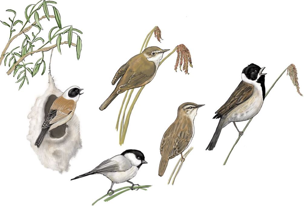 Nyhedsbrev ude for August 2023, by <a href="/DallSchyth/">Brian Dall Schyth</a> open.substack.com/pub/briandalls…