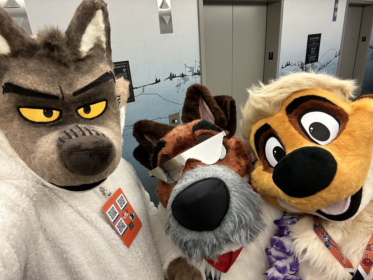 Rain 🌧️ tweet media