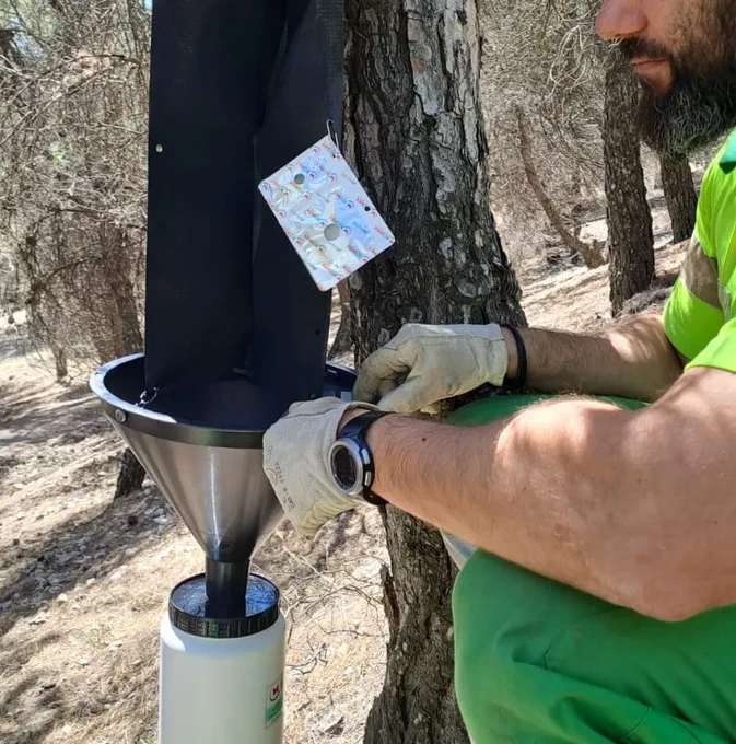 Foto cedida por Ayuntamiento de Rivas