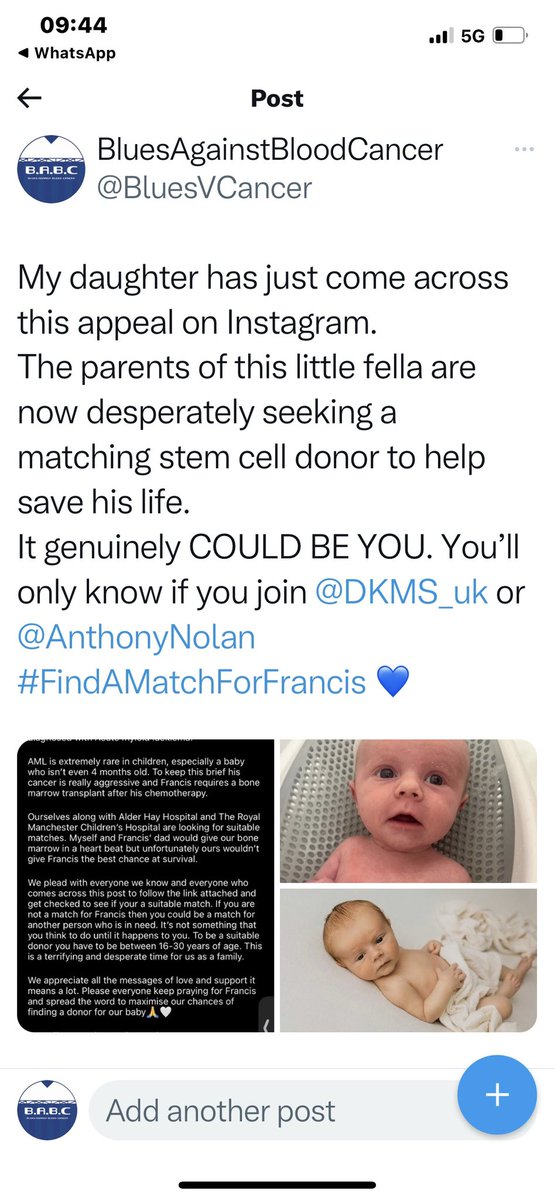 BluesAgainstBloodCancer tweet media