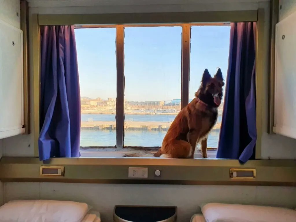Reise_Blog's tweet photo. In einer Woche sind wir schon wieder auf grosser #Reise nach #Sardinien und warten auf #CorsicaFerries in #Livorno. Diesmal aber leider nur 3 Wochen... 🫣
#travel #reisen #urlaub #ferien #ttot #italien #italy #italia #sardegna #sunrise #ferry #fähre #megaexpress #dog https://t.co/NKrFYKnZzr