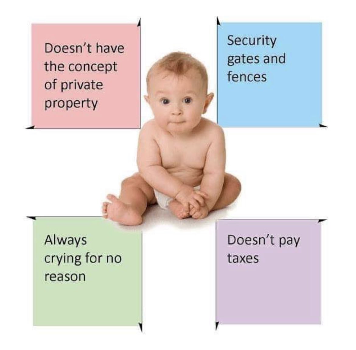 Political Compass Memes tweet media