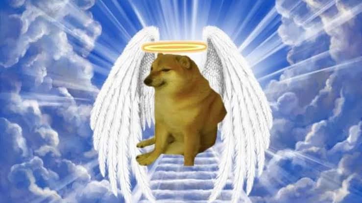 xkhyamix's tweet photo. @Dexerto Legends Never Die RIP Doge 🕊️ https://t.co/cqXujZz0ci