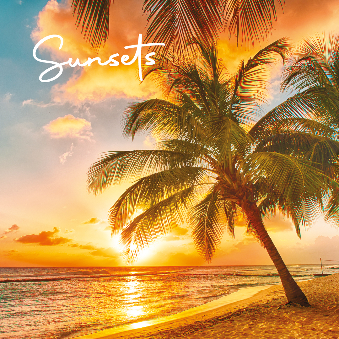 📸 𝐏𝐢𝐜𝐭𝐮𝐫𝐞-𝐏𝐞𝐫𝐟𝐞𝐜𝐭

Time to go on holiday, take 1000 photos, use 6 for Instagram, and leave the remaining 994 in the camera roll so that you can ‘look at them later’.

What’s one sight that you can’t wait to scratch off your wishlist? 🤔⛰️