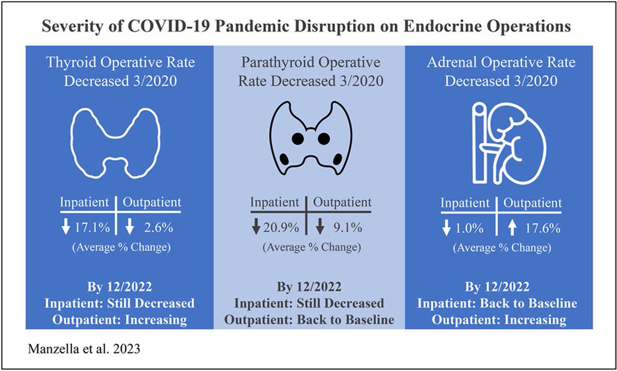 AmJSurgery (@amjsurgery) on Twitter photo Effects of the COVID-19 🦠 pandemic 🗺️ on endocrine operations in the United States 🇺🇸 🔪🪡 🏥! <a href="/SWexner/">Steven D Wexner MD, PhD</a> <a href="/juliomayol/">Julio Mayol</a> <a href="/PipeCabreraV/">Dr Luis Felipe Cabrera Vargas MD FACS MACC MACCVA</a> @Cirbosque <a href="/pferrada1/">Paula Ferrada MD FACS FCCM MAMSE</a> <a href="/TopKniFe_B/">Bellal Joseph</a> <a href="/rbarbosa91/">Ron Barbosa MD FACS</a> <a href="/drdevirgilio/">Christian de Virgilio MD FACS</a> <a href="/TraumaDocSF/">Andre Campbell, MD, FACS, FACP, FCCM, MAMSE, FCCOS</a> <a href="/salo75/">Salomone Di Saverio MD PhD FACS FRCS (Eng)</a> Link: americanjournalofsurgery.com/article/S0002-… Effects of the COVID-19 🦠 pandemic 🗺️ on endocrine operations in the United States 🇺🇸 🔪🪡 🏥! <a href="/SWexner/">Steven D Wexner MD, PhD</a> <a href="/juliomayol/">Julio Mayol</a> <a href="/PipeCabreraV/">Dr Luis Felipe Cabrera Vargas MD FACS MACC MACCVA</a> @Cirbosque <a href="/pferrada1/">Paula Ferrada MD FACS FCCM MAMSE</a> <a href="/TopKniFe_B/">Bellal Joseph</a> <a href="/rbarbosa91/">Ron Barbosa MD FACS</a> <a href="/drdevirgilio/">Christian de Virgilio MD FACS</a> <a href="/TraumaDocSF/">Andre Campbell, MD, FACS, FACP, FCCM, MAMSE, FCCOS</a> <a href="/salo75/">Salomone Di Saverio MD PhD FACS FRCS (Eng)</a> Link: americanjournalofsurgery.com/article/S0002-…