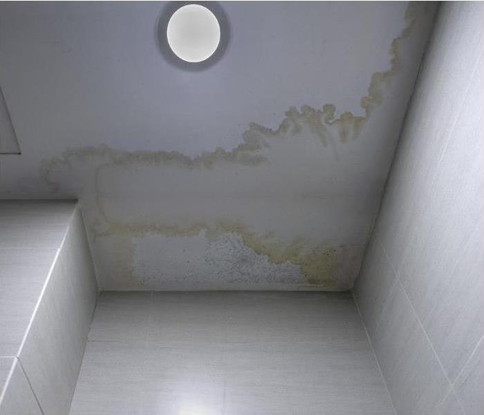 SERVPROEPhoenix's tweet photo. The Damage You May Miss After a Monsoon Storm. https://t.co/gavoYvBNke
#SERVPROofEastPhoenix #monsoondamage #stormdamage #remediationservices https://t.co/OqVwhdWT9j
