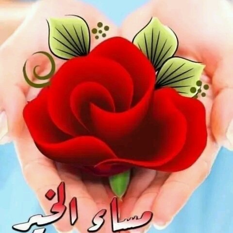LyahmdYd's tweet photo. كيفكم يا غالين وايش اخباركم https://t.co/JusVUJUU19