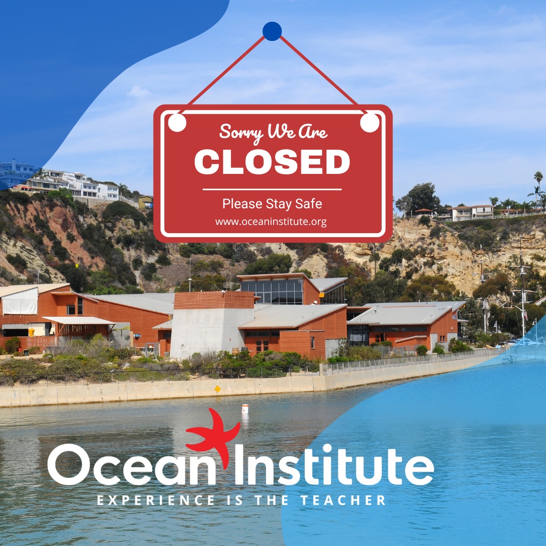 Ocean Institute tweet media