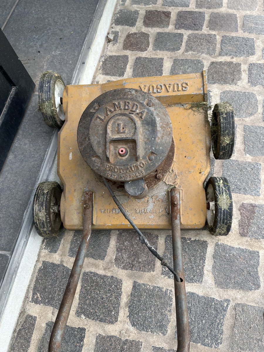 Zafranina 🍋 Eliso Inca Pié tweet media