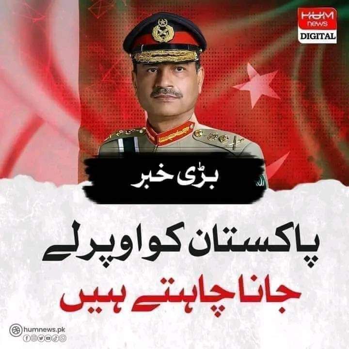 Maleeha Hashmey tweet media
