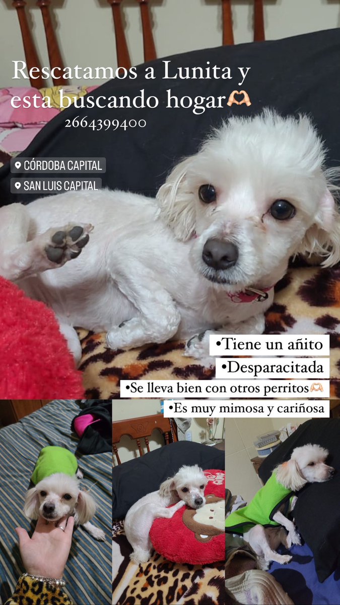 <a href="/VivireNuevaCba/">VivirenNuevaCórdoba®</a> <a href="/VivirEnNuevaCba/">Vivir en Nueva Cba</a> 
Lunita esta buscando familia🫶🏻🫶🏻