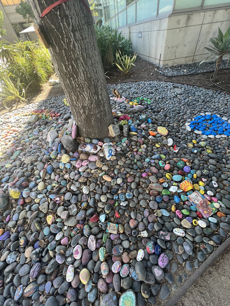 jr_philbin's tweet photo. I brought Daniel’s remains home yesterday and stopped by @cityofhope to place a stone for him in their memorial garden. @TheRealDerwaz  #cancersucks. https://t.co/1RVkh5fBBd