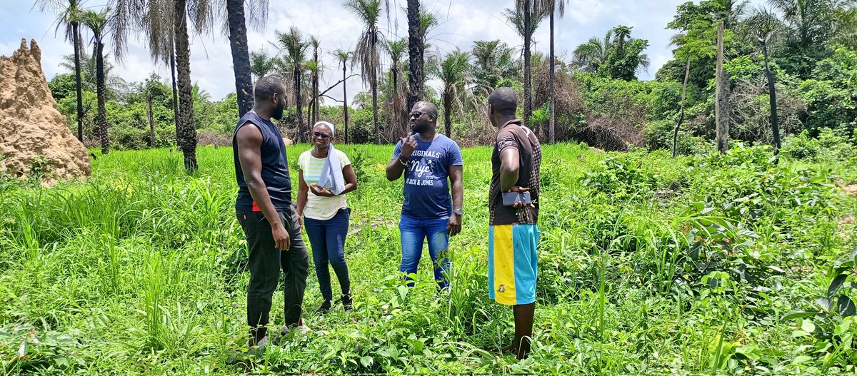 sutmullerdemba's tweet photo. Visite de suivie au près de 33 MPME Jeunes à Ziguinchor ( #Kafountine , #Suell , #katinong , #Kabilin , #KATABA , #Loudia, #mlomp) accompagné par Declic, du projet #ReussirSonIdee avec la #GIZ. L'entrepreneuriat Agricole,  une opportunité de réussite pour les jeunes en Casamance. https://t.co/77Gc6vPGDZ