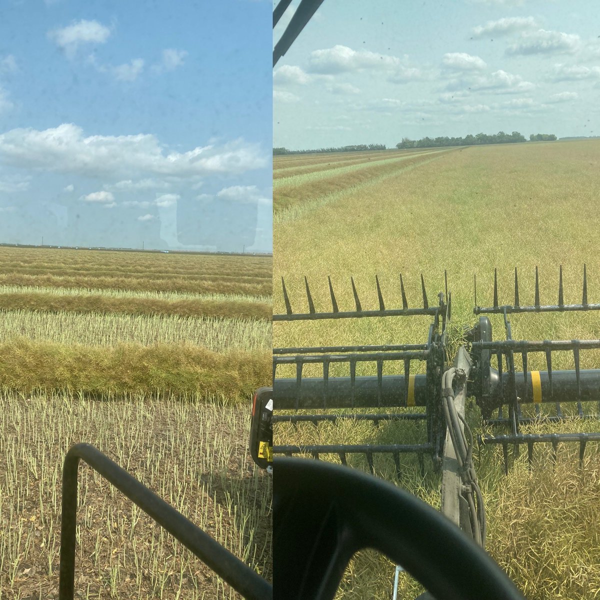 Dale Fossay tweet media