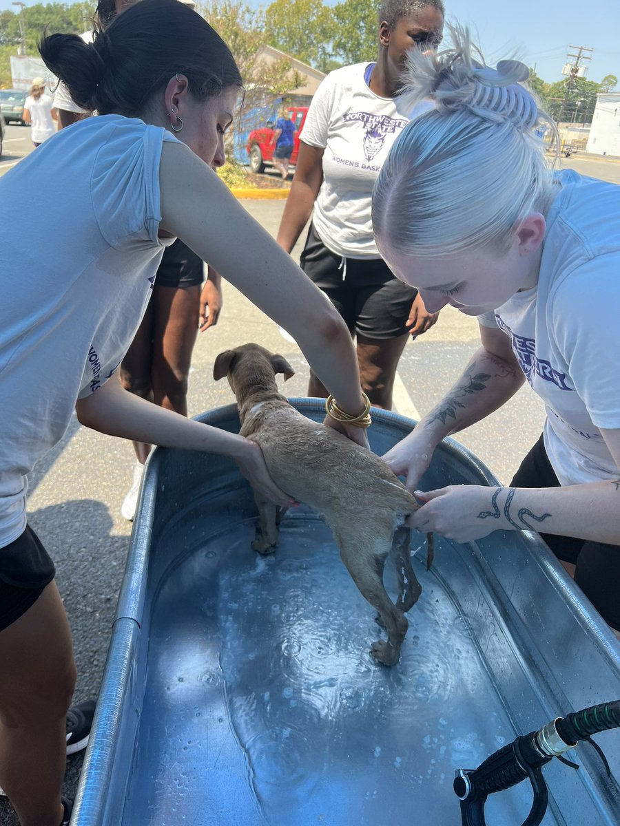 NSUDemonsWBB's tweet photo. Scrub-a-Dub-Dub 🧼 https://t.co/QC10cJ6MdI