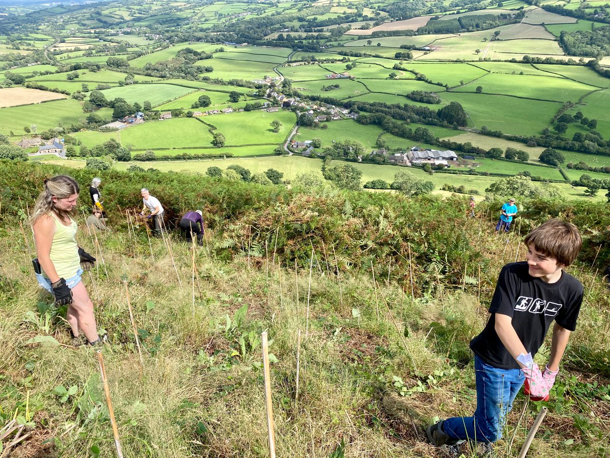 Another fab day with our cracking volunteers doing tree maintenance on Bryn Arw. Weather tearing overhead, clearing to a beautiful summer afternoon in the Welsh hills. Spectacular cake. Oh, my… #trees #ecologicalrestoration #uplands #wales