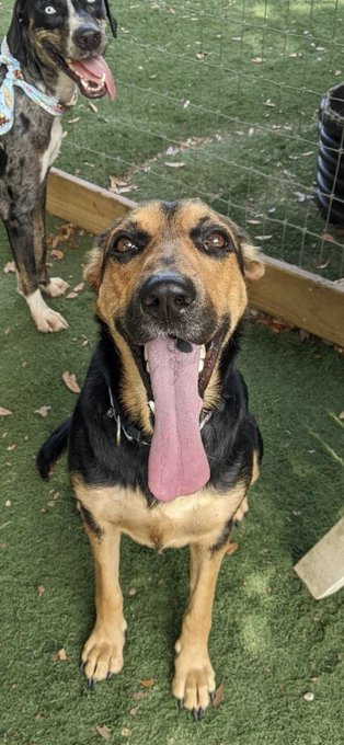 Everyone please look at Ymir&rsquo;s tongue https://t.co/lASTUVky7Y<a href="/tag/starwars"class="tags"><span>#starwars</span></a><a href="/tag/shinhati"class="tags"><span>#shinhati</span></a>