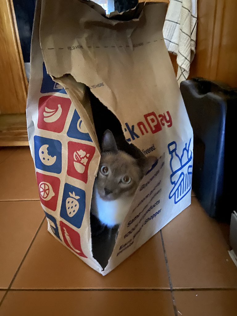 So I’ve looked in the bag and you appear to have forgotten to order any new cat toys. What the fluff? 🐱