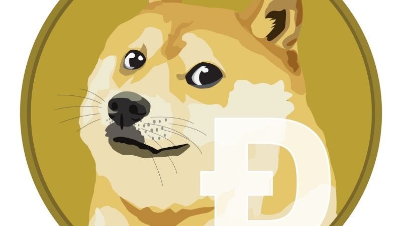 Geeks + Gamers (@geeksgamerscom) on Twitter photo Cheems, the most viral dog on the internet, dies after losing his battle against cancer Cheems, the most viral dog on the internet, dies after losing his battle against cancer