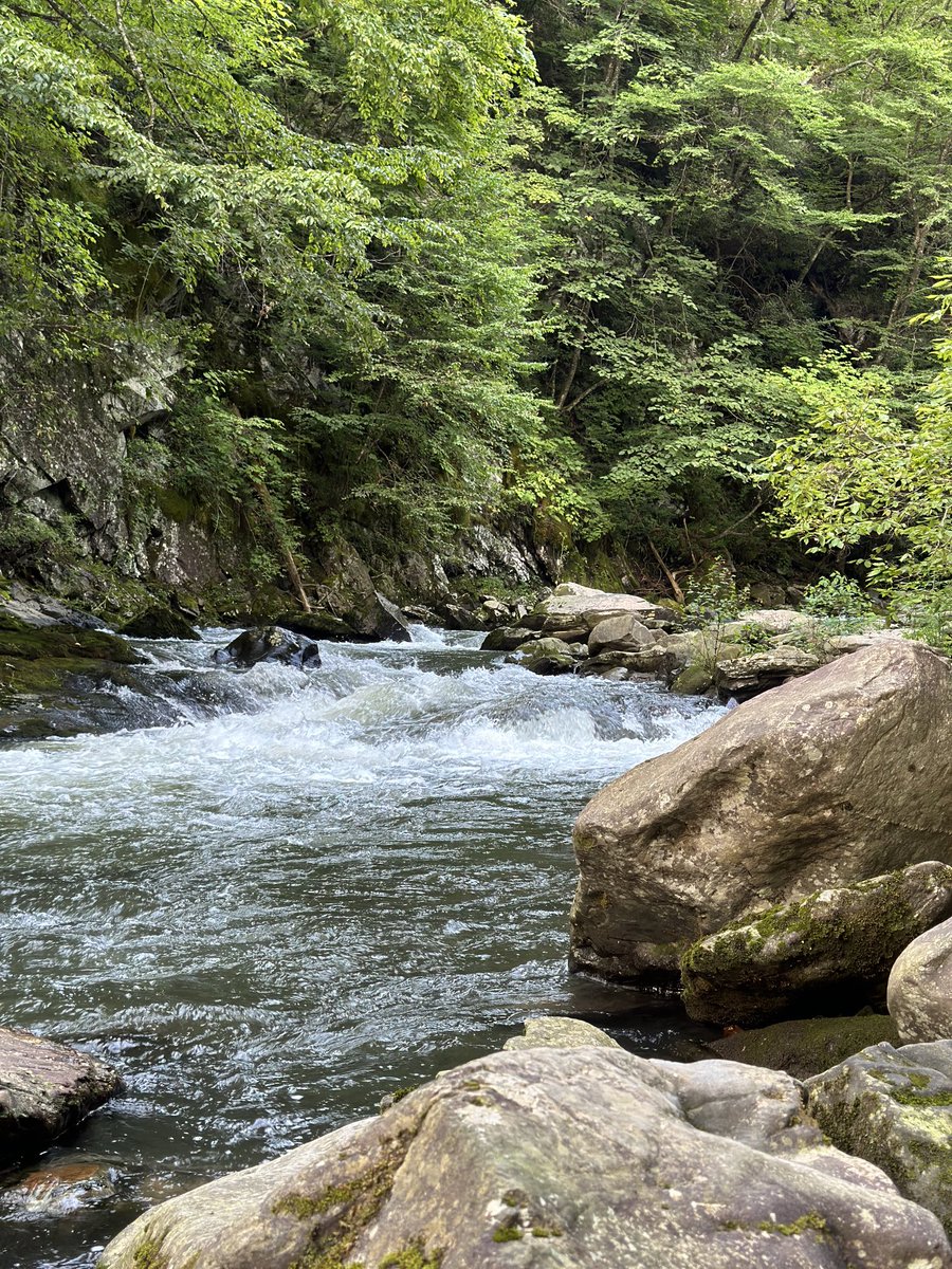 Ike Reighard tweet media