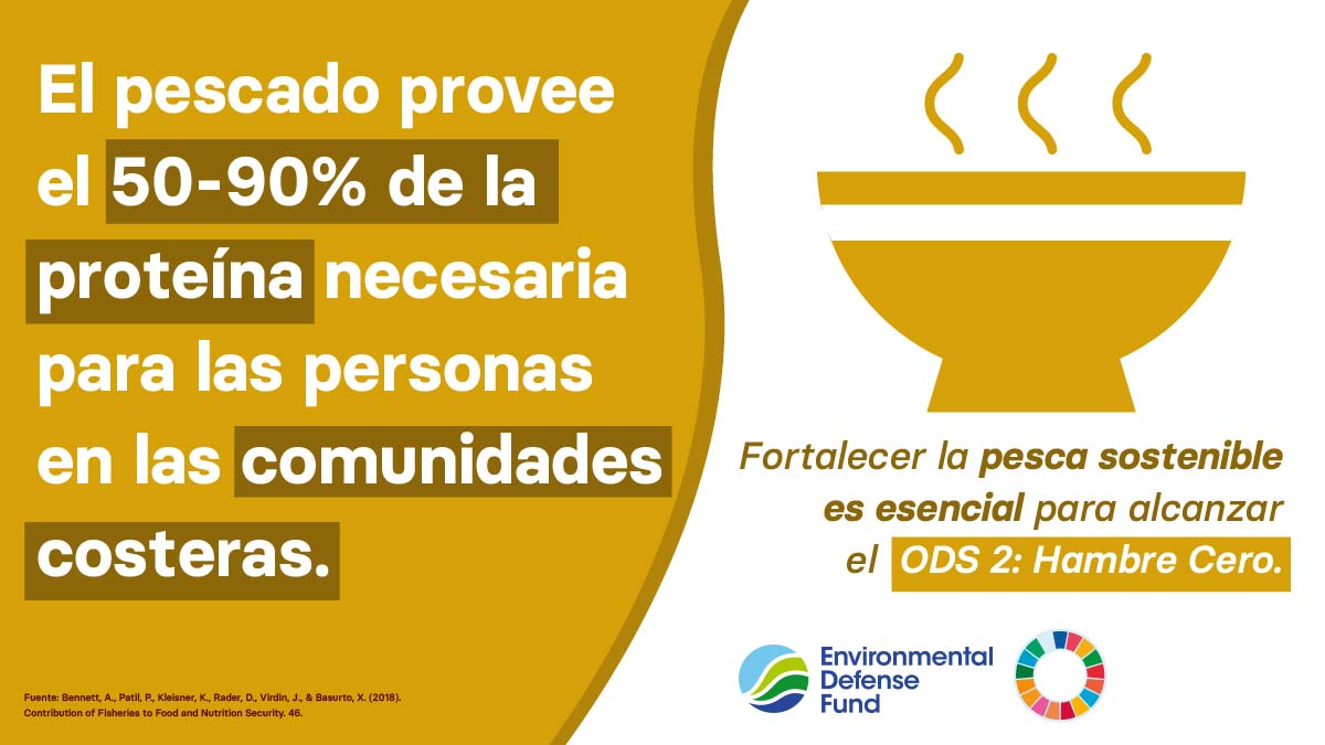 EDF_Espanol's tweet photo. Los pescados y mariscos son considerados un "superfood", ya que son fuente de grasas saludables, proteínas y micronutrientes. Para más de 3 mil millones de personas alrededor del mundo, estos alimentos son clave para mantenerse saludables. #ODS2 #HambreCero https://t.co/U8RHvlIF4W