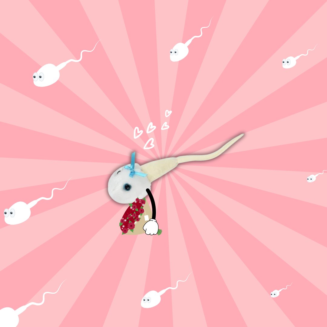 GIANTmicrobes's tweet photo. Sperm Cell has a 🔥HOT🔥date! Do you think he will be the WINNER? 
Comment 💋 for YES
Comment ❌ for NO
💥Use GMSCORE23 for 20% off through 8/20💥
Shop Sperm Cell plush now: https://t.co/iKxI3xAiJw
#GIANTmicrobes #sperm #biology #ovary #ovaries #ferility #reproductivehealth https://t.co/nGqkoyQux2