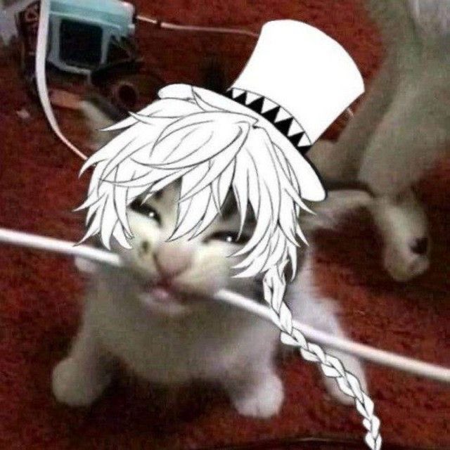 caitlyn #1 kyra LUVER!! tweet media