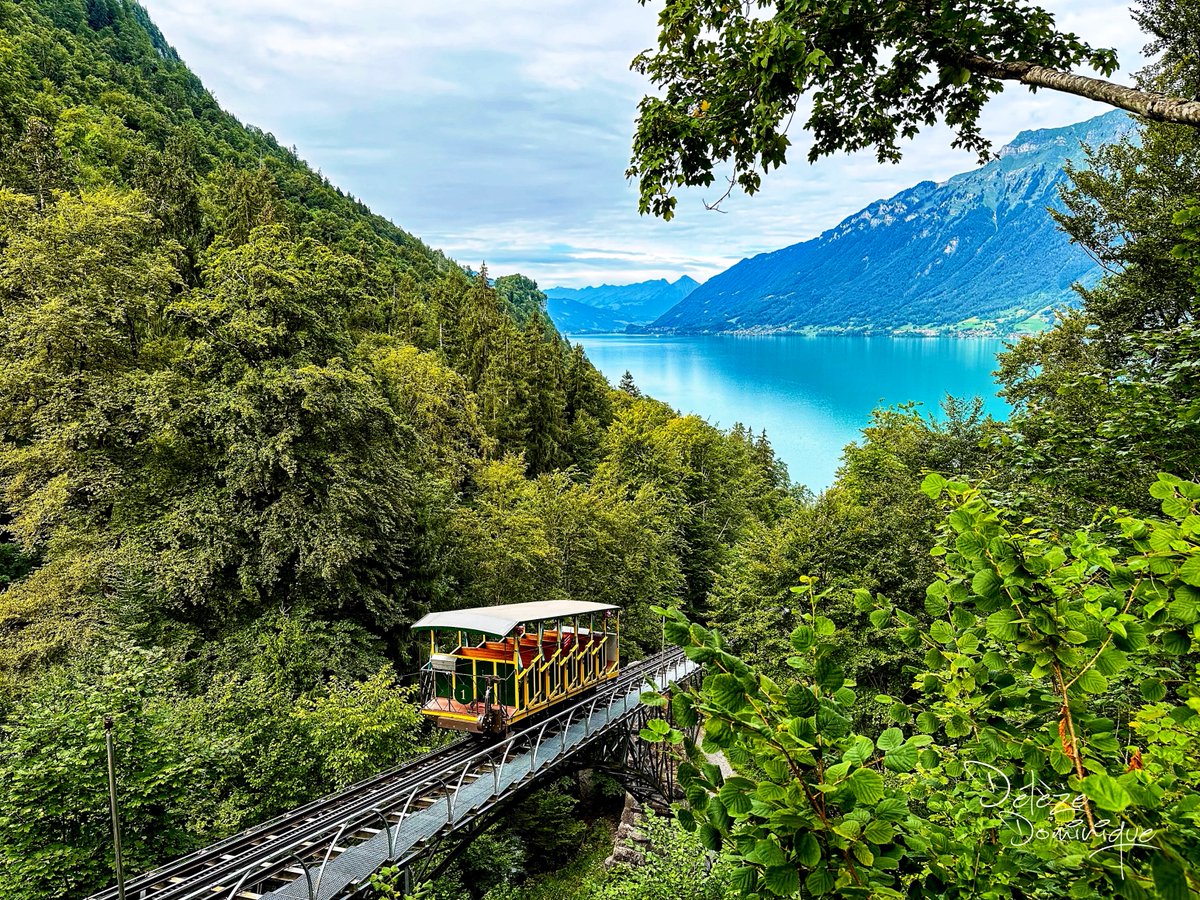 Une vue magique depuis Giessbach 🤩💙🤩💚🤩🇨🇭

#brienz #giessbach #suisse #switzerland #schweiz #ineedswitzerland #landscapephotography #landscape #photooftheday #photography #paysage #mountains #nature #lake <a href="/MySwitzerland_e/">Switzerland</a> <a href="/Veronique_Kanel/">Veronique Kanel</a>