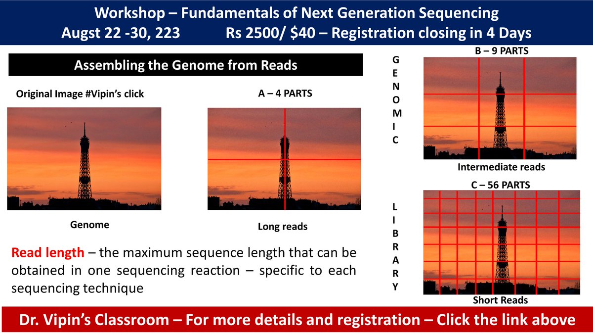 dr_vipin_singh's tweet photo. #Next_Generation_Sequencing_WorkshopRegister here - https://t.co/Vjk7ZA56ny - closing in 2 days For more information - https://t.co/VeTRWex2pl #Basics_of_NGS #Illumina #IonTorrent #Nanopore #DNASeq #PacBio #NGS_data_analysis #Anaconda #Conda #SamTools #bcftools #fastqc #BWA https://t.co/PydlKLRuv0