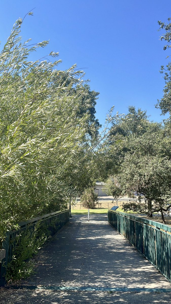 HeatherHolmesTV's tweet photo. After a few days in Texas with the family, I’m spending time in the North Bay with friends. Hope you have a great weekend! I’m anchoring the evening shows tomorrow with @MibachKTVU so see you then😉#RunningInSantaRosa #RunningRoute https://t.co/H85gIjpikW