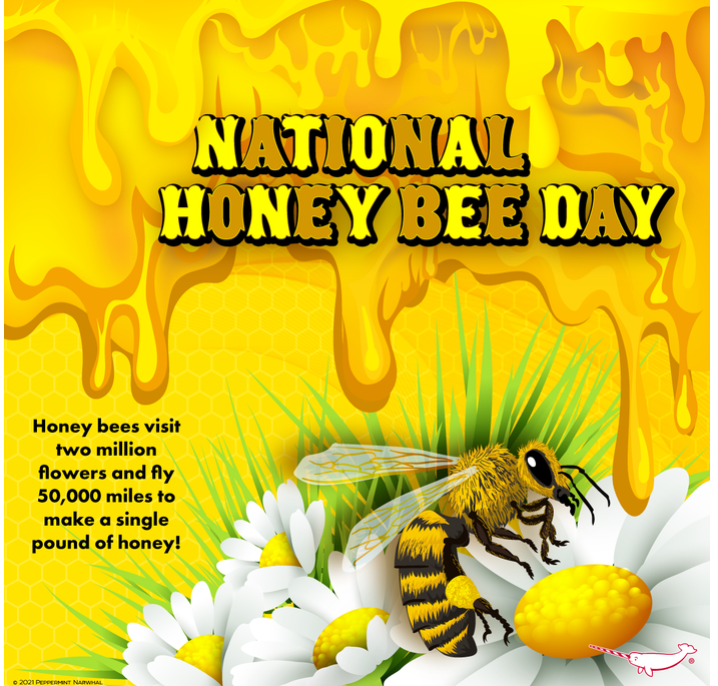 ConservationSP's tweet photo. Happy #HoneyBeeDay!!🐝🍯 In this article, Cruz &amp; Grozinger mapped out student understanding of #bees and discussed the implications for #pollinatorconservation. 🐝🌸Read more at https://t.co/Yvgc7sKIcn

🐝📷: @PepomintNarwhal https://t.co/lxAY4nXmYA