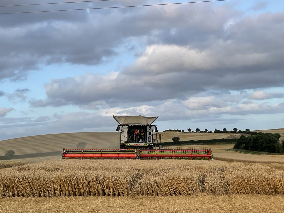 McGregorFarms's tweet image. 4-12.8mm overnight.  ☀️ &amp;amp; 💨💨. Move combines.  5pm start. ⭐️⭐️⭐️⭐️⭐️ #Teamcommitment  “Never write a day off !”
⁦@DJFuller1969⁩ ⁦@tom_hoggan_⁩ ⁦@CLAAS_UK⁩