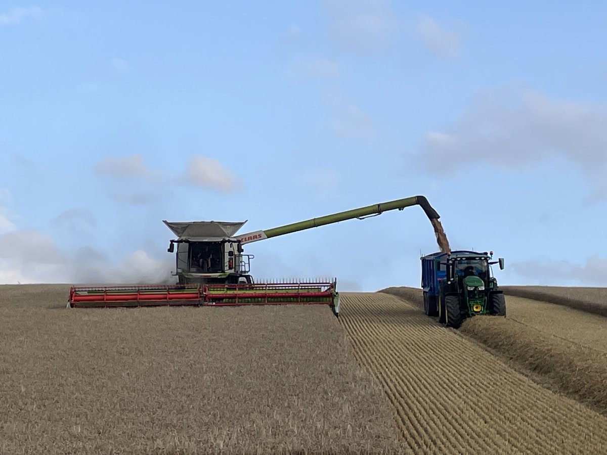 McGregorFarms's tweet image. 4-12.8mm overnight.  ☀️ &amp;amp; 💨💨. Move combines.  5pm start. ⭐️⭐️⭐️⭐️⭐️ #Teamcommitment  “Never write a day off !”
⁦@DJFuller1969⁩ ⁦@tom_hoggan_⁩ ⁦@CLAAS_UK⁩