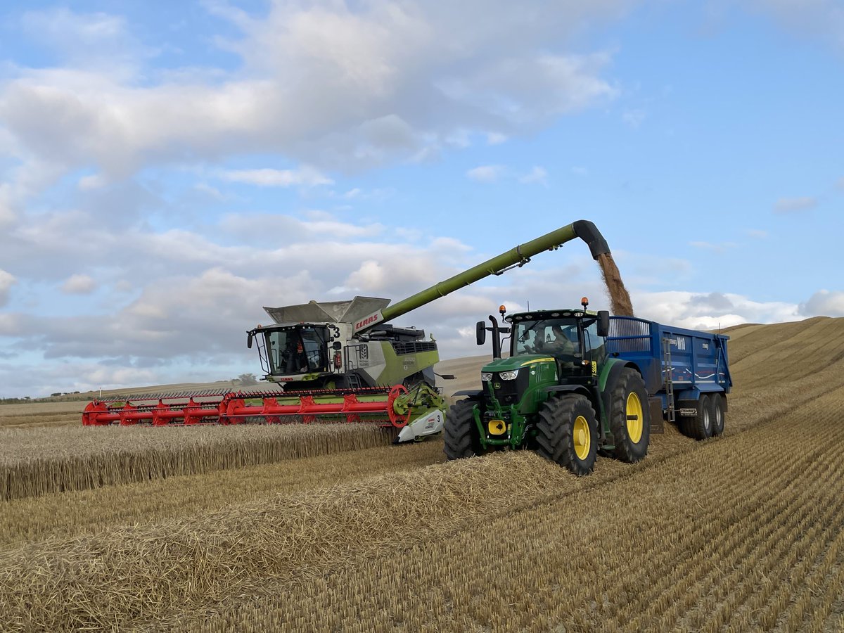 McGregorFarms's tweet image. 4-12.8mm overnight.  ☀️ &amp;amp; 💨💨. Move combines.  5pm start. ⭐️⭐️⭐️⭐️⭐️ #Teamcommitment  “Never write a day off !”
⁦@DJFuller1969⁩ ⁦@tom_hoggan_⁩ ⁦@CLAAS_UK⁩