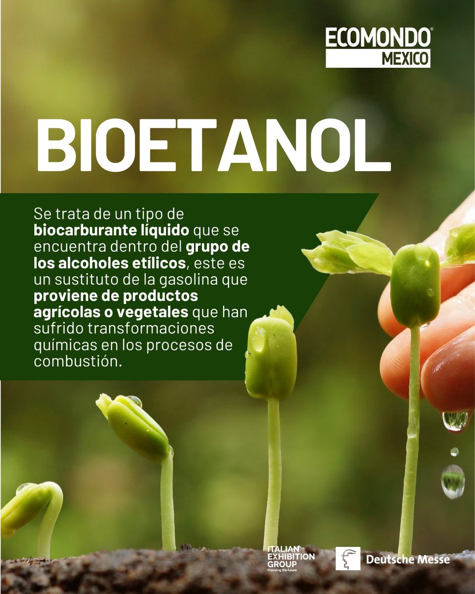 EcomondoMx's tweet photo. En ECOMONDO nos interesa que crezcas y amplíes tu conocimiento acerca del Desarrollo Sostenible, por eso hoy te compartimos información sobre 3 tipos de biocarburantes  🌱🙌🏻.

👉🏻 Conoce más información aquí:
https://t.co/IMQU7f8QpE 

 Recuperado de: https://t.co/U6Su6nQwcN https://t.co/8Fz3ERnTee