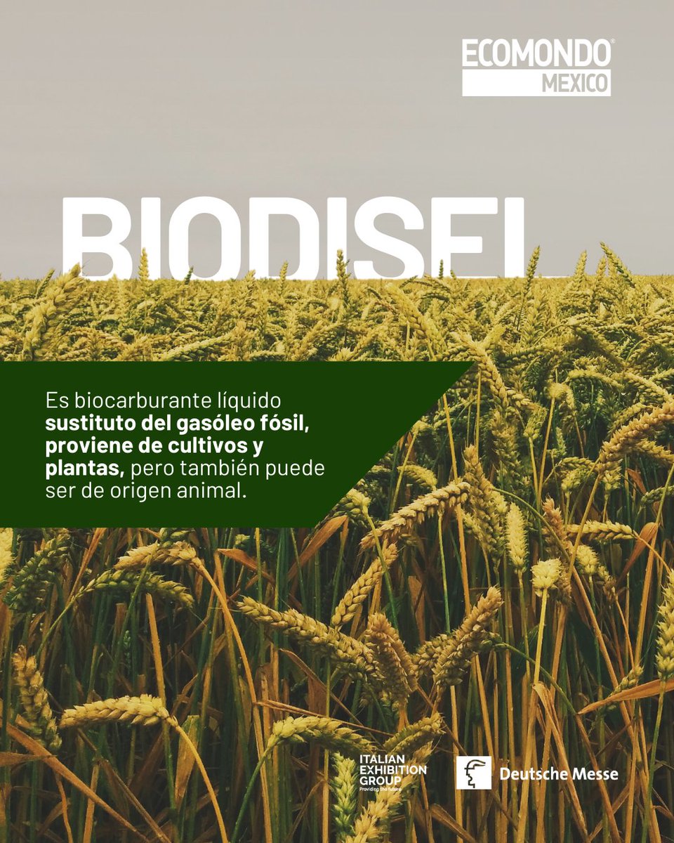 EcomondoMx's tweet photo. En ECOMONDO nos interesa que crezcas y amplíes tu conocimiento acerca del Desarrollo Sostenible, por eso hoy te compartimos información sobre 3 tipos de biocarburantes  🌱🙌🏻.

👉🏻 Conoce más información aquí:
https://t.co/IMQU7f8QpE 

 Recuperado de: https://t.co/U6Su6nQwcN https://t.co/8Fz3ERnTee