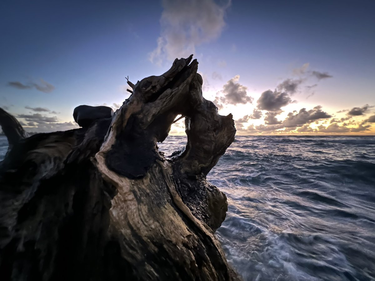 BIGFOOOOT's tweet photo. @admired_art 2 photos and the video of the aftermath of the 2nd. Art hurts sometimes. 
Hanalei Bay Sunset
Lydgate Beach Sunrise
Kaua’i
Hawai’i https://t.co/FV4kqkvkVg