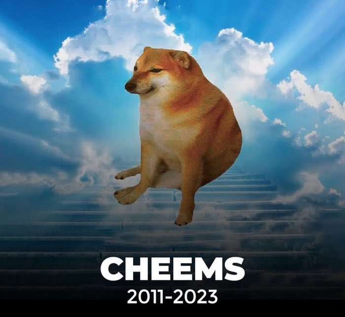 tuhafx's tweet photo. Doge memeleriyle bilinen köpek Cheems hayatını kaybetti.
#doge #dogecoin #Coin https://t.co/Q0um0OCimn