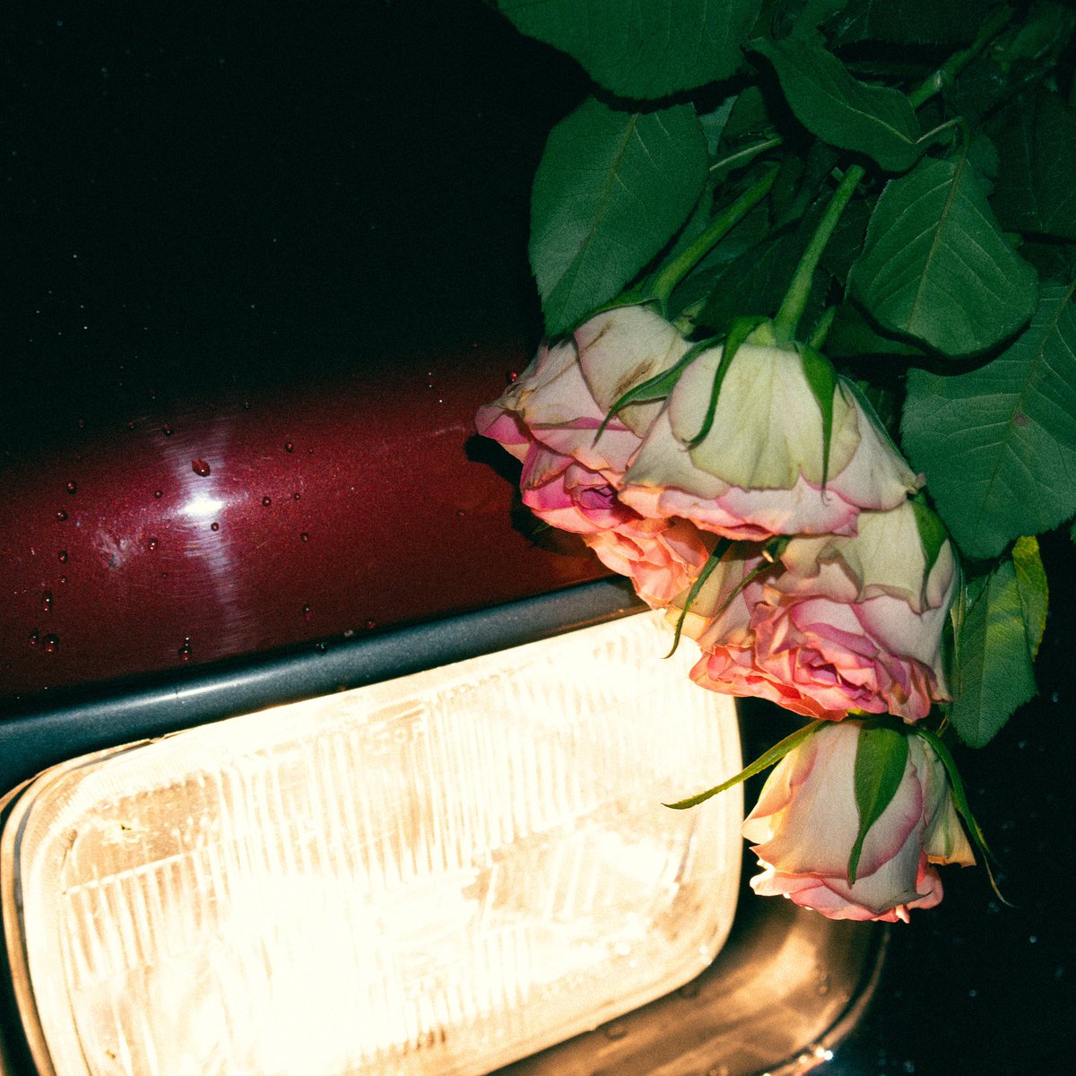 ‘no one else’ is out now ❤️‍🔥

nfan.link/stniklas-no-on…

#newmusic #NewMusicFriday #indiepop