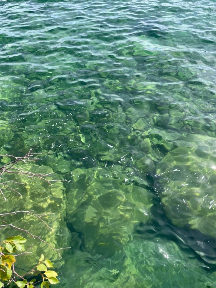 softdeIicacy's tweet photo. blue green water https://t.co/FRS7AiYEk9