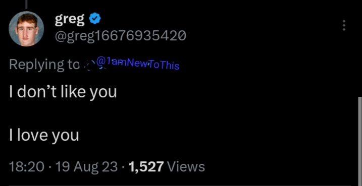 NewToThis tweet media